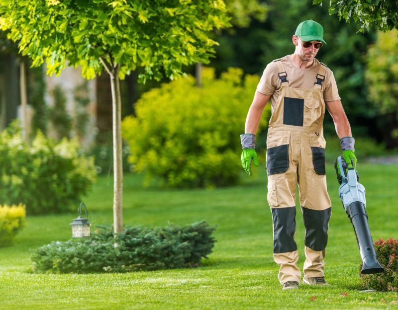 Professional Caucasian Gardener in His 40s Blowing Off Fallen Leaves Using Electric Cordless Blower From the Garden Lawn. Gardening Theme.
