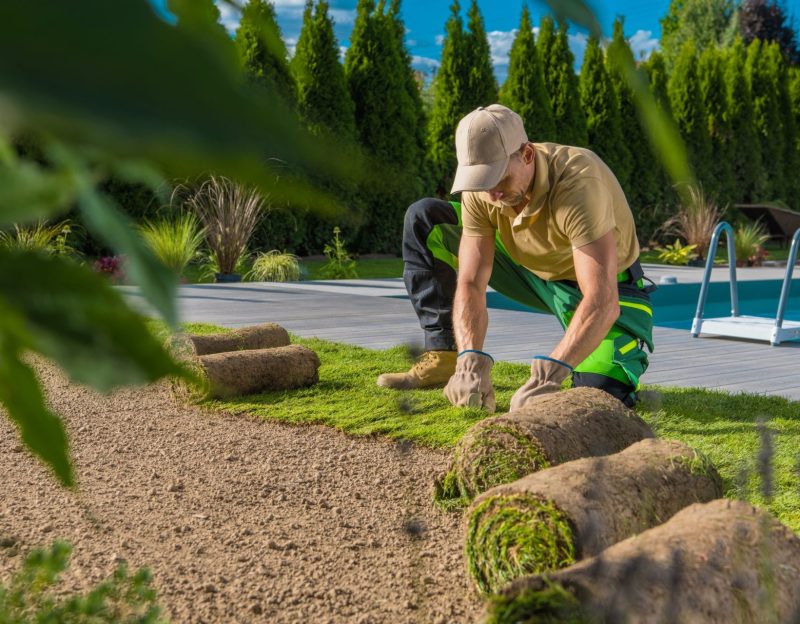Rolls of Natural Grass Turfs Installed by Professional Landscaper. Building a Lawn Around the Swimming Pool.